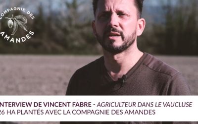 Découvrez l’interview de Vincent Fabre, agriculteur partenaire de la Compagnie des Amandes